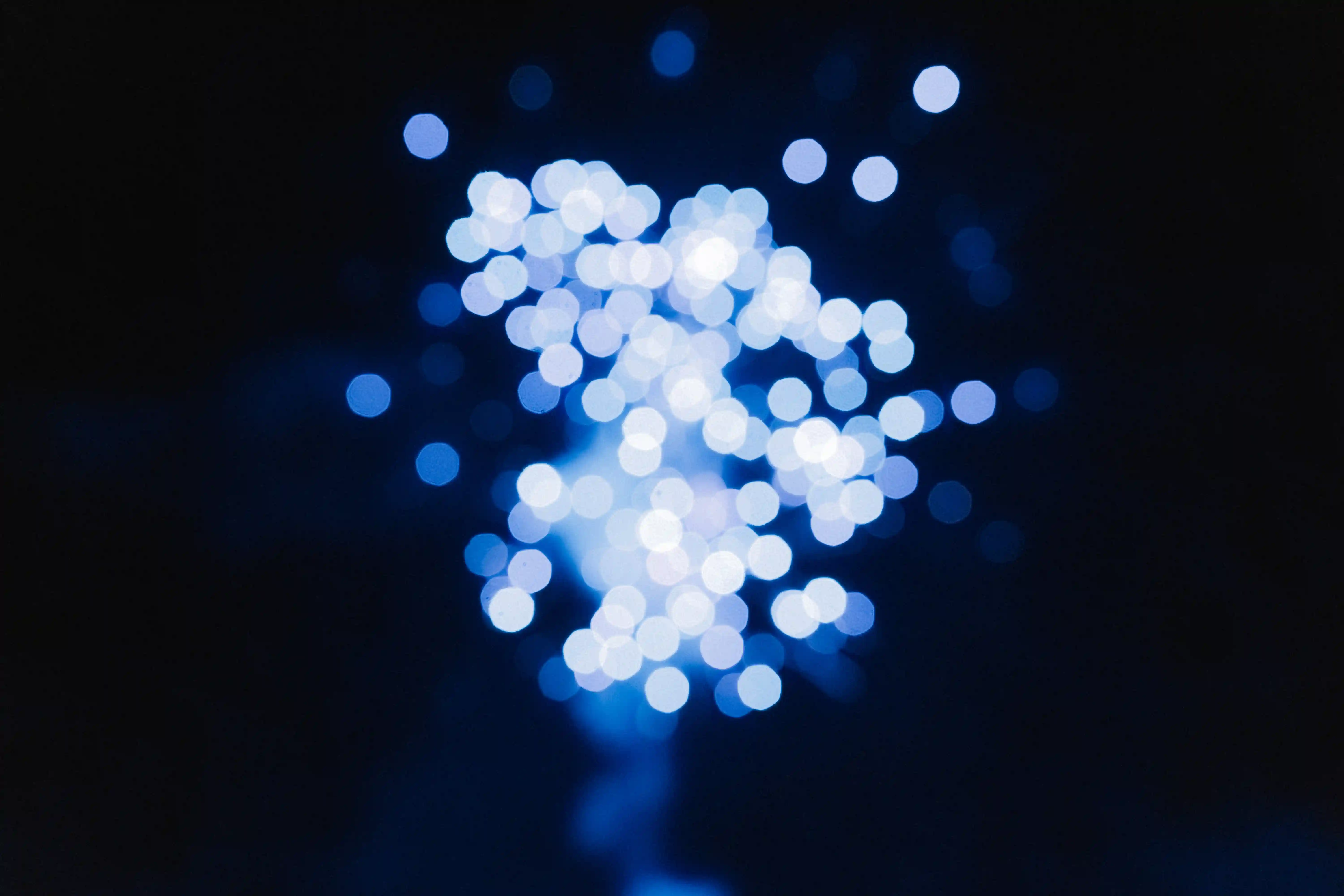 Kein Bild mit diesem Pfad gefunden