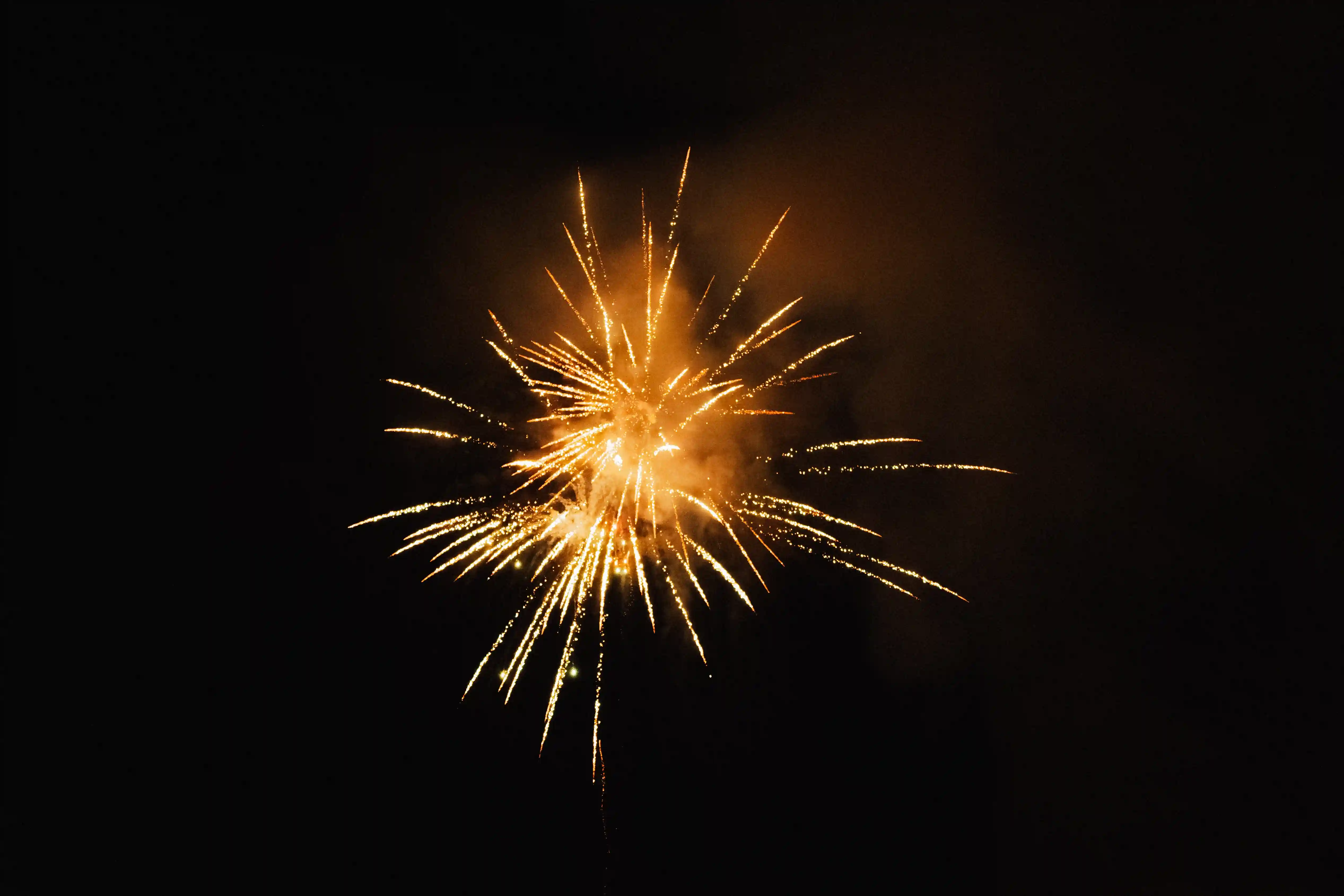 Kein Bild mit diesem Pfad gefunden