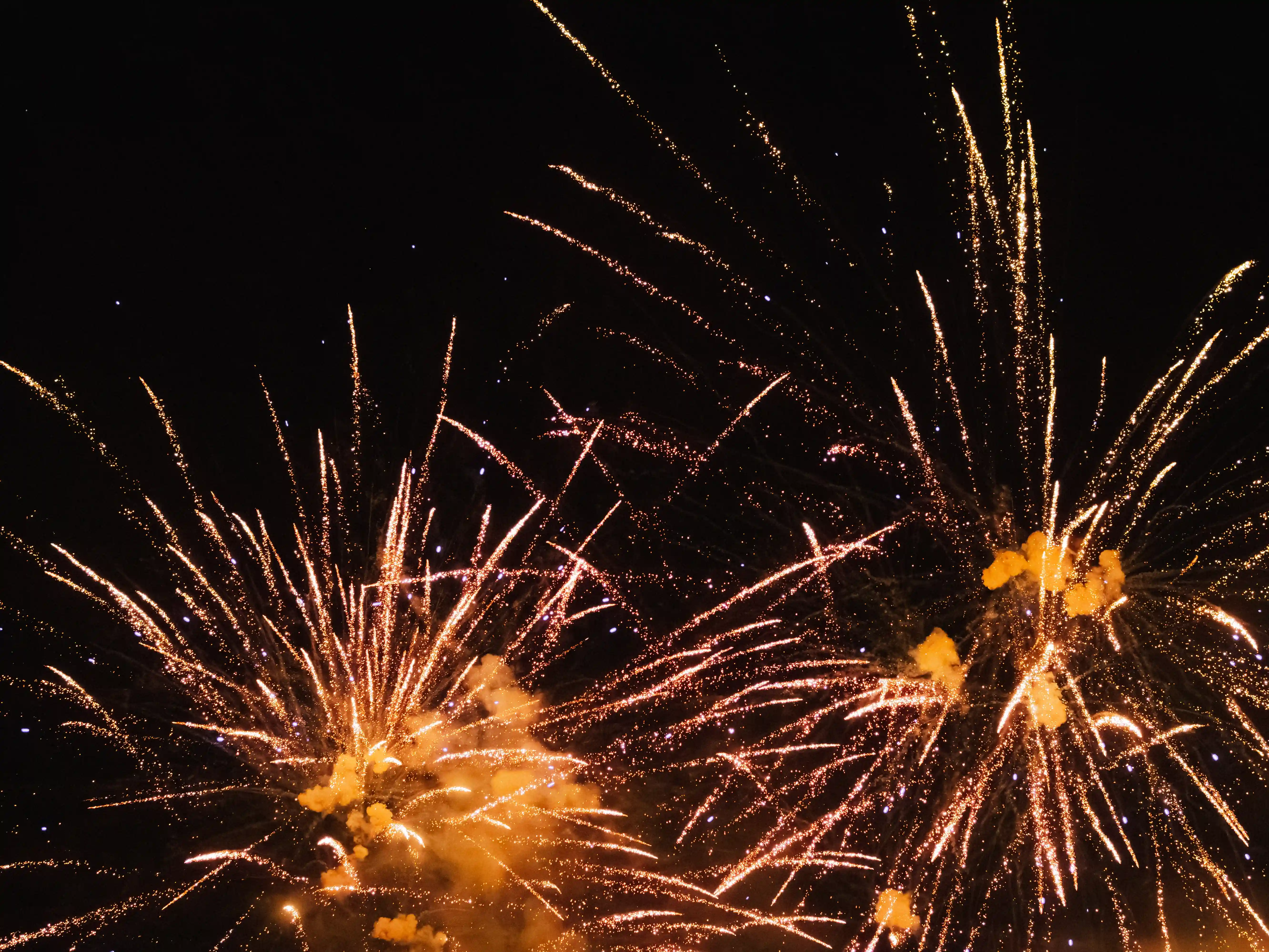 Kein Bild mit diesem Pfad gefunden